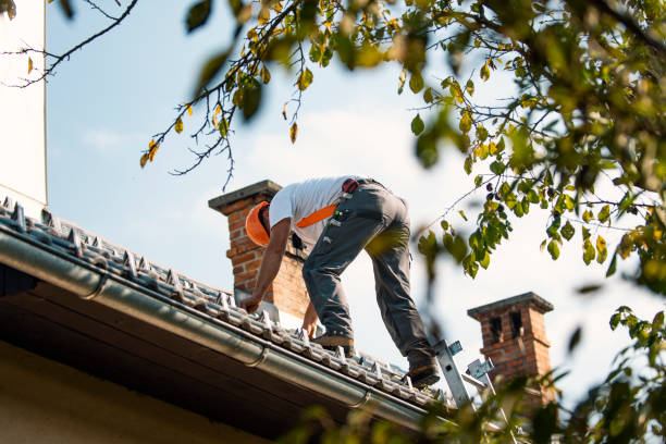 Best Roof Moss and Algae Removal  in Captains Cove, VA